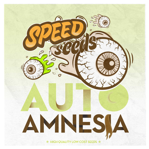 Amnesia Auto Hanf Samen