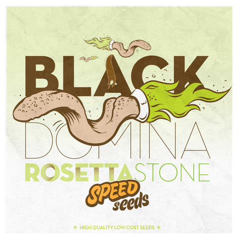 Black Domina x Rosetta Stone Hanf Samen