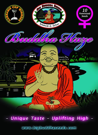 Buddha Haze Hanf Samen