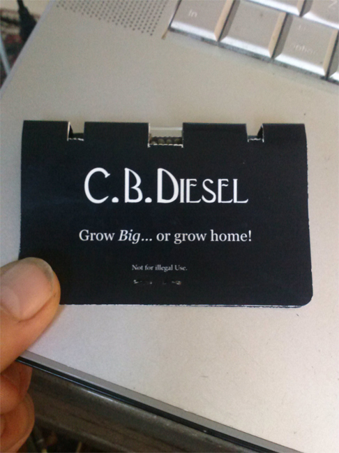 C.B.Diesel Hanf Samen