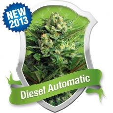 Diesel Automatic Hanf Samen