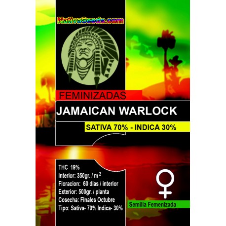 Jamaican Warlock Hanf Samen