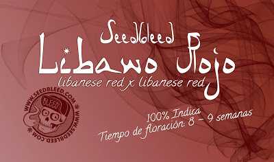 Libano Rojo Hanf Samen