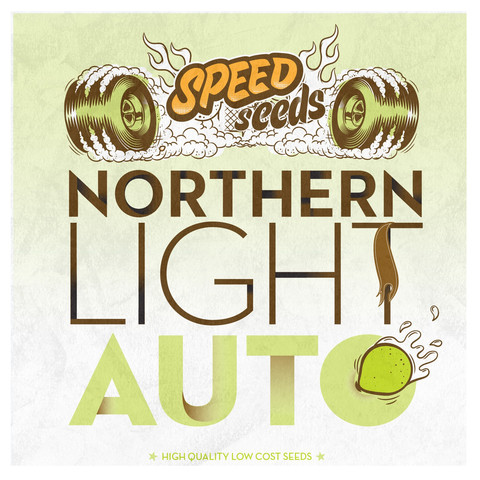 Northern Light Auto Hanf Samen