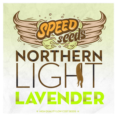 Northern Light x Lavender Hanf Samen