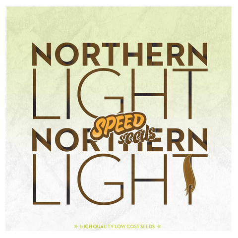 Northern Light x Northern Light Hanf Samen