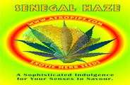 Senegal Haze Hanf Samen