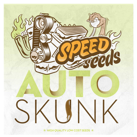 Skunk Auto Hanf Samen