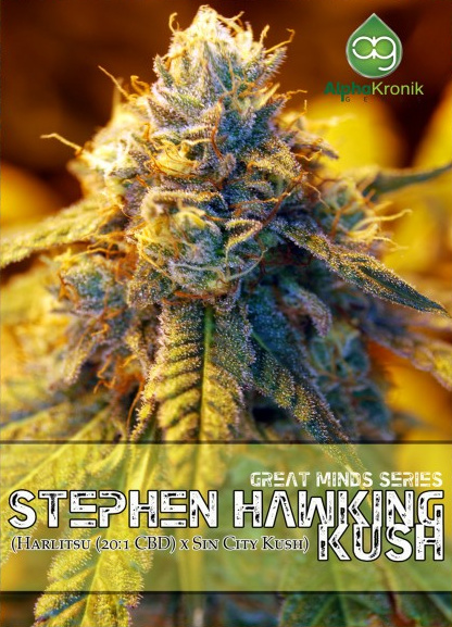 Stephen Hawking Kush Hanf Samen