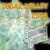 Sugar Valley Kush Hanf Samen