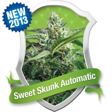 Sweet Skunk Automatic Hanf Samen