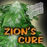 Zion's Cure Hanf Samen