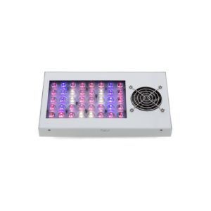 Growking® SAGA 100 Watt LED Grow Full Spectrum