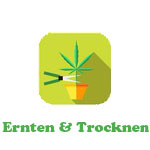 trocknen